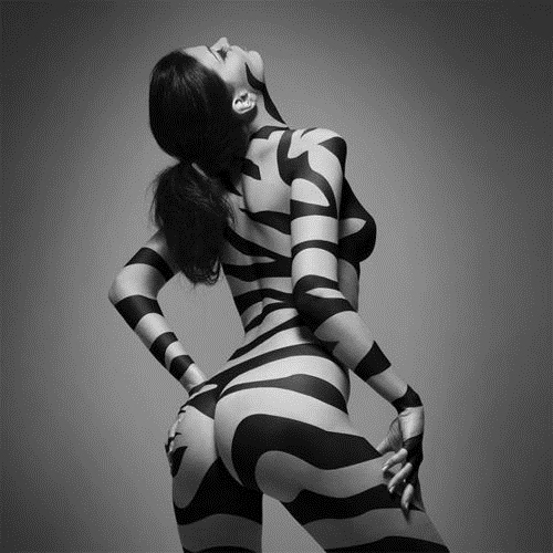 Zebra; Ass Babe Hot Erotic Stylish 