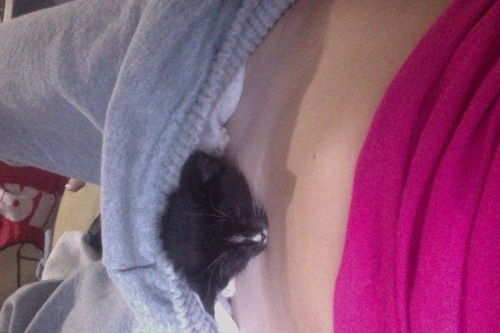 Girlfriends pictures treasure trunk - Take a look at this little fluffy pussy ! ;); Amateur Funny Teen SFW 