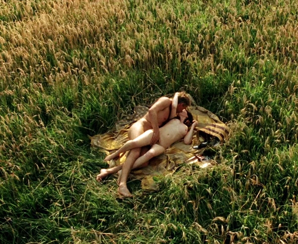 In the Meadow; Outdoor Sex 