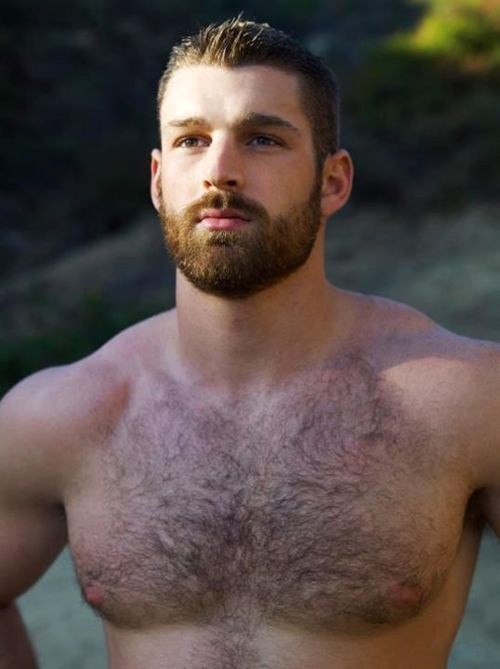 Something bout a big guy with beard n sexy hairy chest!! Mmmm Me likey!!; Men 